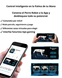 TobiBot – Tu primer mejor amigo inteligente